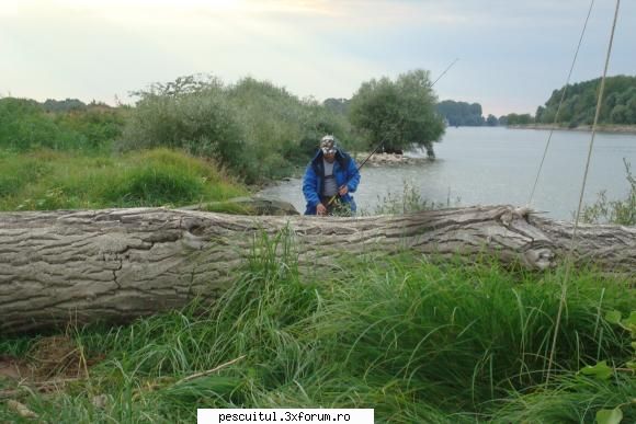 Pescuit, intamplari si aventuri in Delta Dunarii ... - tzu_tzu_rel - JURNAL DE PARTIDA - POVESTIRI PE-NDELETE !