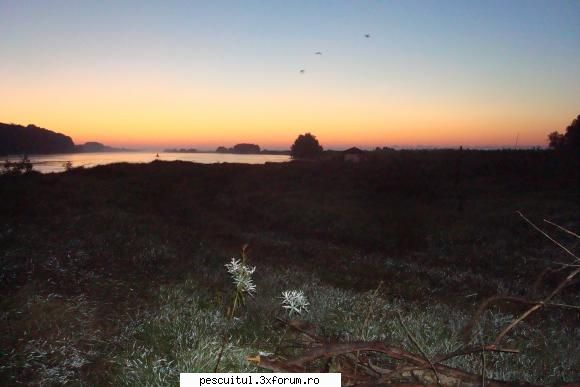 Pescuit, intamplari si aventuri in Delta Dunarii ... - tzu_tzu_rel - JURNAL DE PARTIDA - POVESTIRI PE-NDELETE !