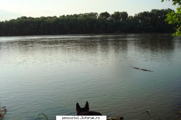 Pescuit, intamplari si aventuri in Delta Dunarii ... - tzu_tzu_rel - JURNAL DE PARTIDA - POVESTIRI PE-NDELETE !