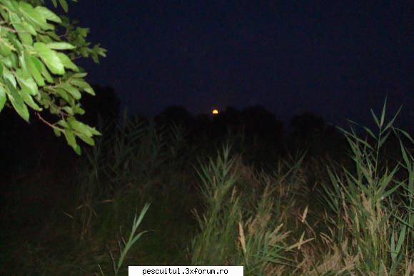 Pescuit, intamplari si aventuri in Delta Dunarii ... - tzu_tzu_rel - JURNAL DE PARTIDA - POVESTIRI PE-NDELETE !