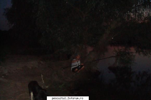 Pescuit, intamplari si aventuri in Delta Dunarii ... - tzu_tzu_rel - JURNAL DE PARTIDA - POVESTIRI PE-NDELETE !