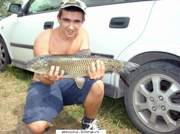 Pescuit la Cteno(amur) - Eu am luat Amur la alta montura Si-a lasat unu - MOMELI SI NADE PENTRU CRAP