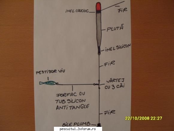 Pescuit la biban pe lac - Uite poate acum se vede mai bine schema strunei - PESCUIT STATIONAR