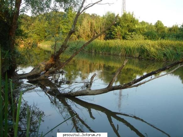 Pescuit pe Neajlov - Modigliani - PESCUITUL PE RAURI (altele decat Dunarea)