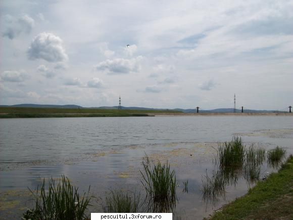 Pescuit prin judetul Bacau - Lacul ce inconjoara insula din Bacau-baraj pe - POZELE MELE - PESCUIT