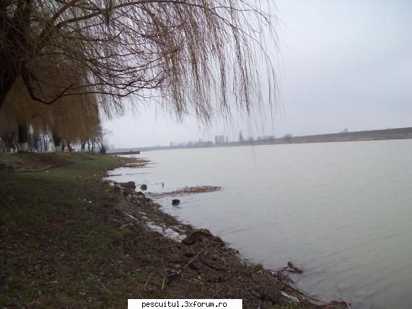 Pescuit prin judetul Bacau - Nimeni pe balta!Brrrrr da frig mai era!!! - POZELE MELE - PESCUIT