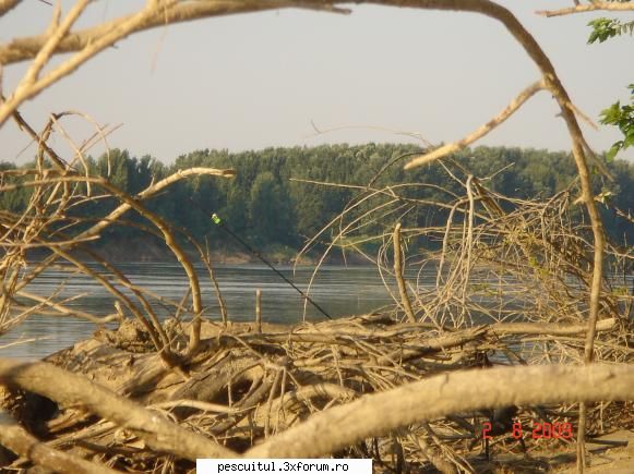 Pescuitul - Sport extrem !!! - Plantez ,, pervers " una din ele intre - PESCUIT LA DUNARE SI IN DELTA DUNARII
