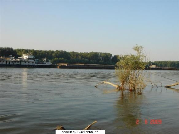 Pescuitul - Sport extrem !!! - A trebuit sa treaca ,, Lvov " pe la 10 - PESCUIT LA DUNARE SI IN DELTA DUNARII