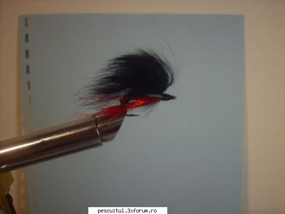 Pescuitul avatului la musca artificiala - este un pescuit fascinant,eu abia in iarna - PESCUIT - FLY FISHING