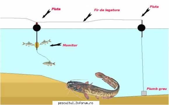 Pescuitul la somn - Cine a folosit montura de mai jos si ce rezultate - PESCUITUL ALTOR SPECII DE PESTI