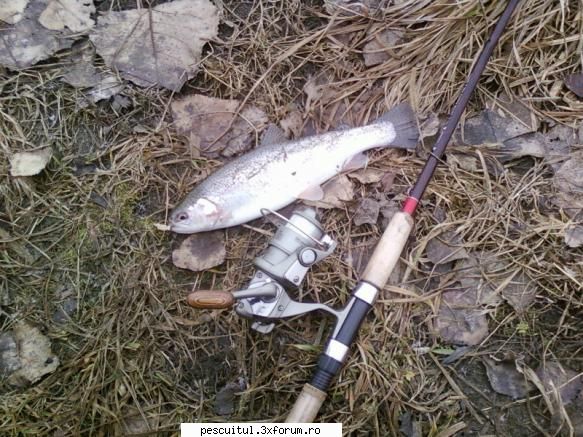 Pescuitul la spinnerbait - Superbe kpturi. felicitari - PESCUIT - SPINING