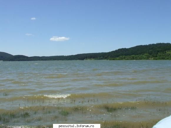Plecare spre lacul surduc - flavius angling - JURNAL DE PARTIDA - POVESTIRI PE-NDELETE !