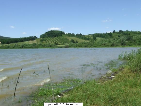 Plecare spre lacul surduc - flavius angling - JURNAL DE PARTIDA - POVESTIRI PE-NDELETE !