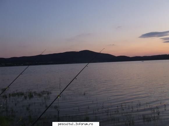 Plecare spre lacul surduc - flavius angling - JURNAL DE PARTIDA - POVESTIRI PE-NDELETE !