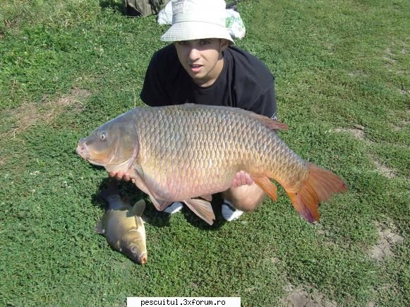 Plecare spre lacul surduc - 3....crap comun....artileria grea - JURNAL DE PARTIDA - POVESTIRI PE-NDELETE !