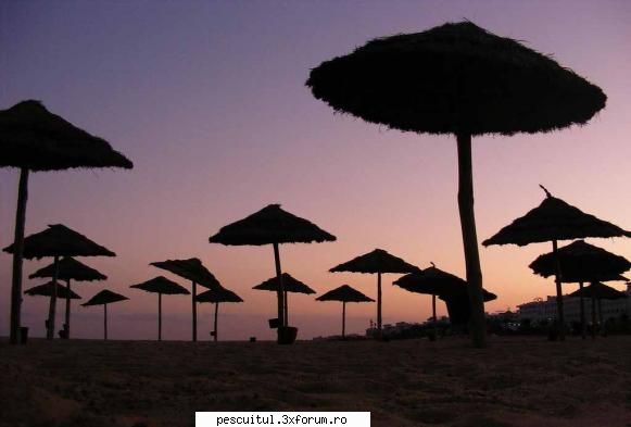 Poze Tunisia ! - Un apus de soare pe plaja din Tunisia! - POZELE MELE - PESCUIT