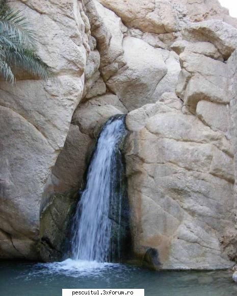 Poze Tunisia ! - O cascada care imi facea pofta de o baie :D - POZELE MELE - PESCUIT