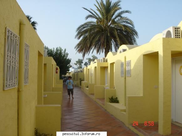 Poze Tunisia ! - Total neobisnuit pentru europeni : Campusul - POZELE MELE - PESCUIT