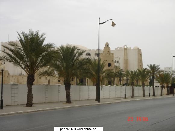 Poze Tunisia ! - Au si ei .... pomi si frunze , ....fumatori si - POZELE MELE - PESCUIT