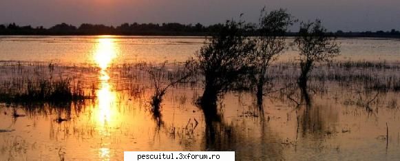 Poze pentru site - Modigliani - POZELE MELE - PESCUIT