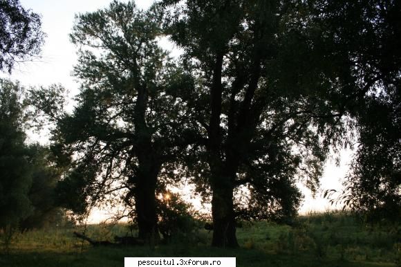 Rasarituri si apusuri de soare pe maluri de ape - Natura se trezeste - POZELE MELE - PESCUIT