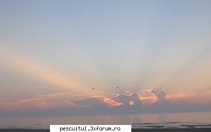 Rasarituri si apusuri de soare pe maluri de ape - Modigliani - POZELE MELE - PESCUIT