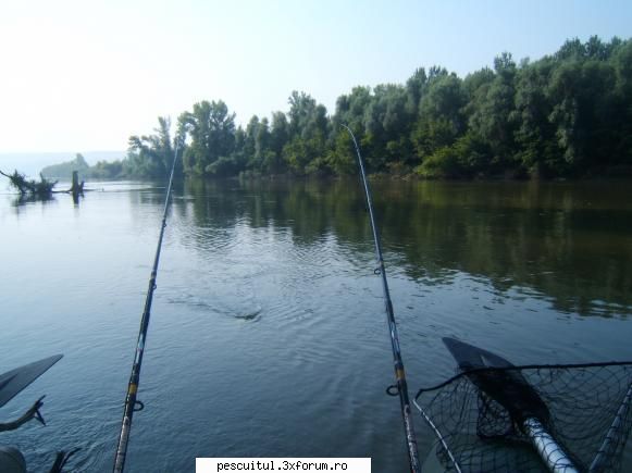 Rasarituri si apusuri de soare pe maluri de ape - cred ca pe aci se visa tov. alinuu - POZELE MELE - PESCUIT