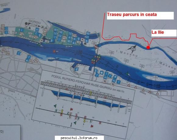 Rataciti in Panam(e)a ! - Modigliani - JURNAL DE PARTIDA - POVESTIRI PE-NDELETE !
