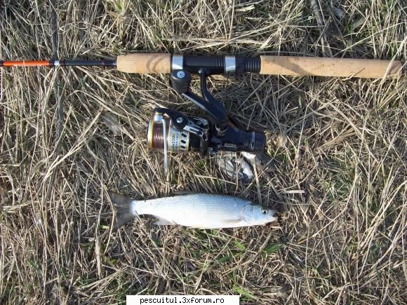 ,,Regimentul'' meu - Asta e cu adevarat ultralight...0.5-5gr - SCULELE SI ECHIPAMENTELE NOASTRE DE PESCUIT
