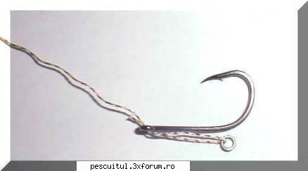 Ringuri pentru Crap . - DeyuXel - PESCUIT LA CRAP - DISCUTII GENERALE