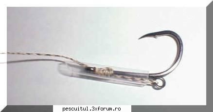 Ringuri pentru Crap . - DeyuXel - PESCUIT LA CRAP - DISCUTII GENERALE