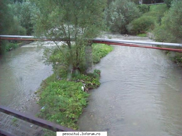 Romania-Arad - Nu scriu numele lor deoarece le stiu - CALATORII SI INTALNIRI