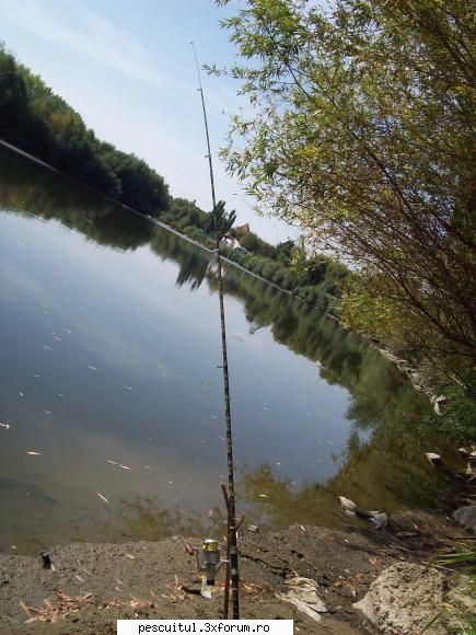 Romania-Arad - Putea sa le pun eu oricum ca de prins...zero, eu - CALATORII SI INTALNIRI