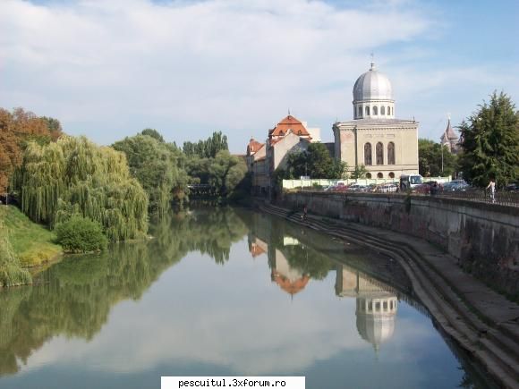 Romania-Oradea - Crisul repede, pacat ca nu am apucat sa fac o - CALATORII SI INTALNIRI