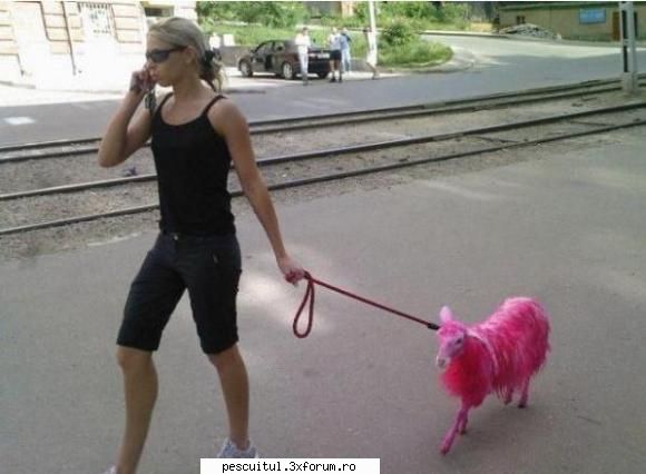 Romaniaa ! Romaniaa ! Olee ! Oleee ! Oleeee ! - azazel - NEURONU` ZAMBARET - BANCURI , HAIOASE , FUNNY