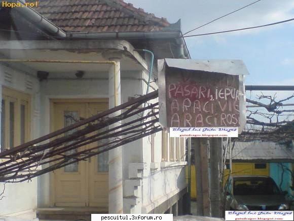 Romaniaa ! Romaniaa ! Olee ! Oleee ! Oleeee ! - Modigliani - NEURONU` ZAMBARET - BANCURI , HAIOASE , FUNNY