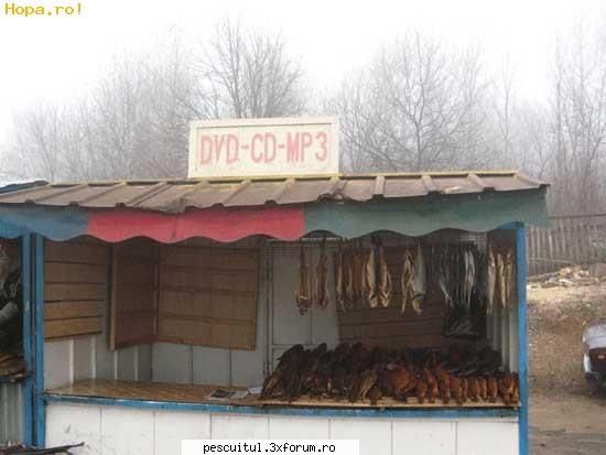 Romaniaa ! Romaniaa ! Olee ! Oleee ! Oleeee ! - Modigliani - NEURONU` ZAMBARET - BANCURI , HAIOASE , FUNNY