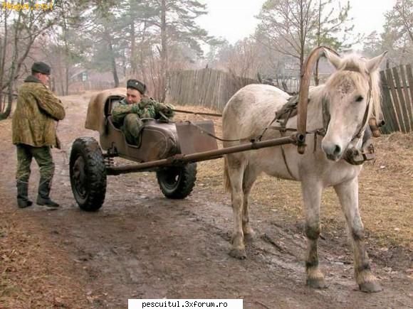Romaniaa ! Romaniaa ! Olee ! Oleee ! Oleeee ! - Modigliani - NEURONU` ZAMBARET - BANCURI , HAIOASE , FUNNY