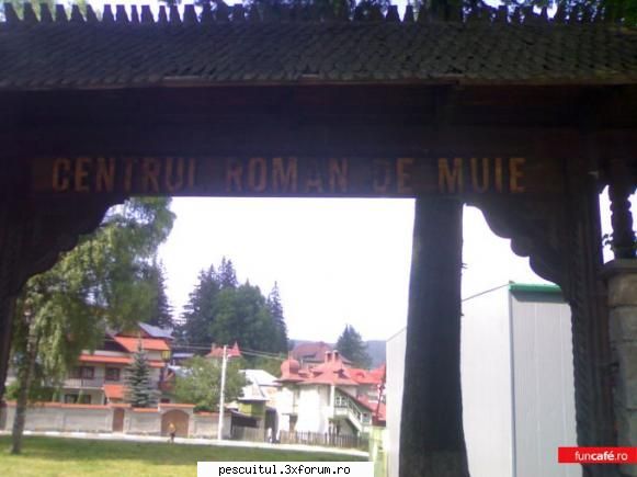 Romaniaa ! Romaniaa ! Olee ! Oleee ! Oleeee ! - azazel - NEURONU` ZAMBARET - BANCURI , HAIOASE , FUNNY