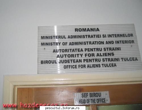 Romaniaa ! Romaniaa ! Olee ! Oleee ! Oleeee ! - azazel - NEURONU` ZAMBARET - BANCURI , HAIOASE , FUNNY