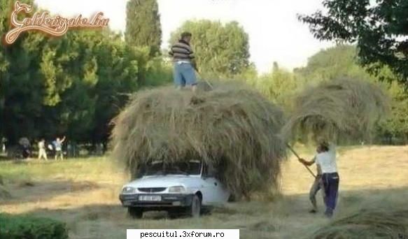 Romaniaa ! Romaniaa ! Olee ! Oleee ! Oleeee ! - azazel - NEURONU` ZAMBARET - BANCURI , HAIOASE , FUNNY