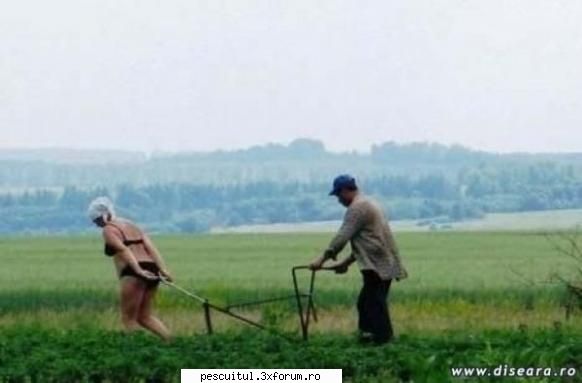 Romaniaa ! Romaniaa ! Olee ! Oleee ! Oleeee ! - azazel - NEURONU` ZAMBARET - BANCURI , HAIOASE , FUNNY