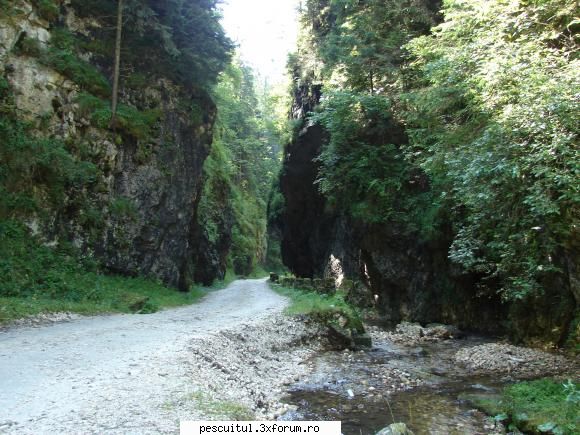 Rucar -Bran pe bicicleta - Drumul spre Brusturet - CALATORII SI INTALNIRI