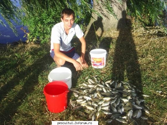 Rusine... - Rockyonutz - BRACONAJ - PESCUIT