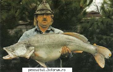Salaul - Pescuitul salaului - Metode de pescuit - Recordul mondial category: rod & reel - SPECII DE PESTI