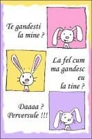 Salutare! - M-am prins! Asta e iepurasul de pe tabla! - PAGINI PERSONALE ! CINE SUNT EU ?