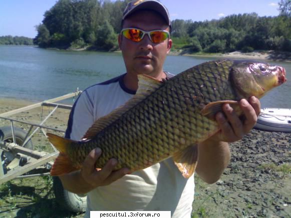 Salutare la pescari - ete na uite colea - CAFENEA - DISCUTII OFF TOPIC