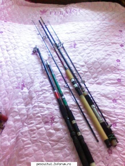 Sculele mele - Aici sunt lansetele de spin, un DAM, o Daiwa, un - SCULELE SI ECHIPAMENTELE NOASTRE DE PESCUIT