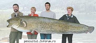 Somnul - Cum pescuim somni mari - Recordul mondial category: rod & reel (mounted - SPECII DE PESTI