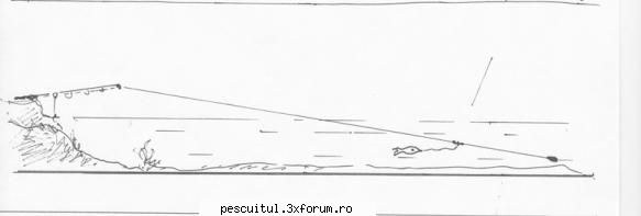 Somnul - Cum pescuim somni mari - Fishbones - SPECII DE PESTI